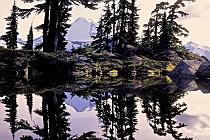 Tarn Reflection & Mt. Baker #2